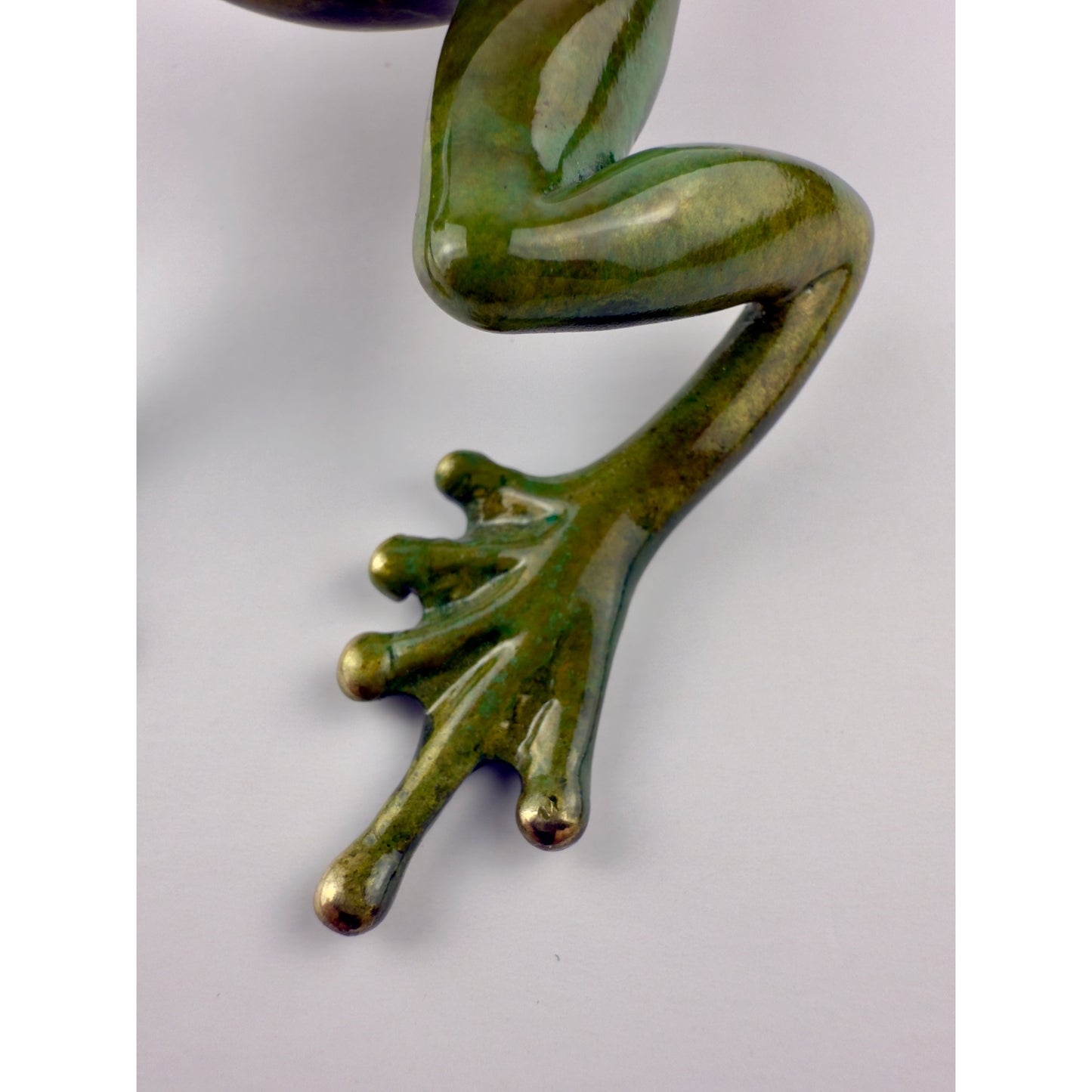 Tree Frog